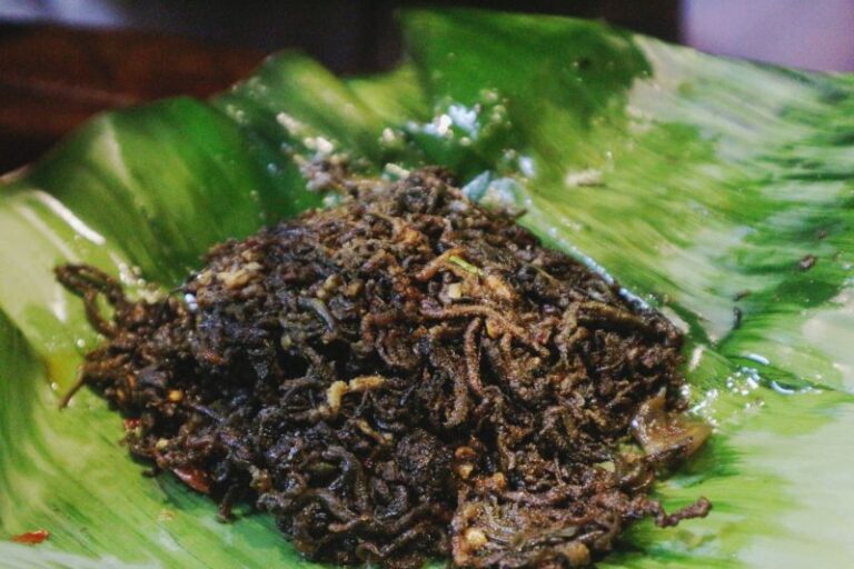 Hidangan unik nyale khas Lombok, hanya ada sekali dalam setahun