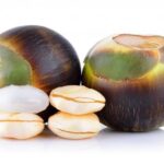 Fakta Buah Lontar yang Banyak Manfaatnya