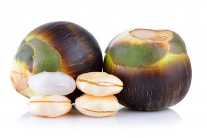 Fakta Buah Lontar yang Banyak Manfaatnya