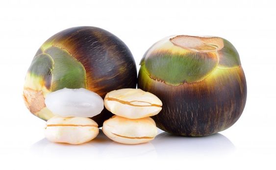 Fakta Buah Lontar yang Banyak Manfaatnya