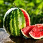 Berbagai Makanan yang Bisa Mencegah Dehidrasi