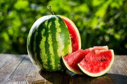 Berbagai Makanan yang Bisa Mencegah Dehidrasi