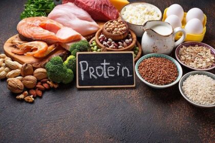 Pilihan Makanan Tinggi Protein yang Baik untuk Kesehatan