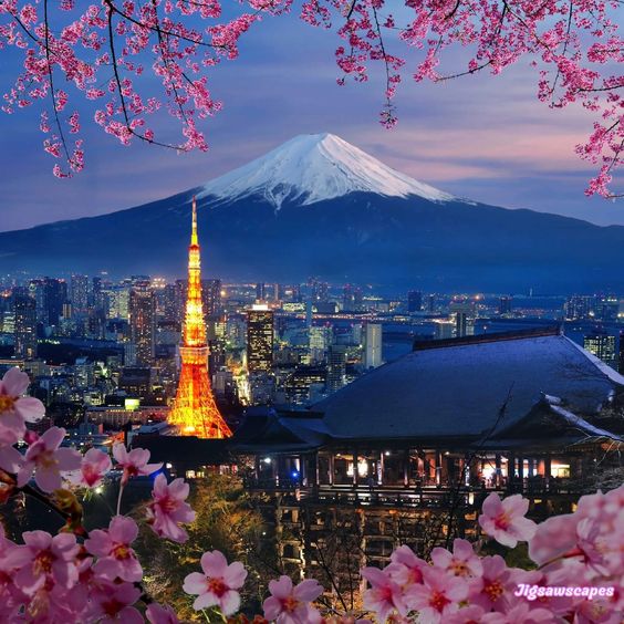 Jepang Selalu Jadi Magnet Wisatawan Walaupun Mahal