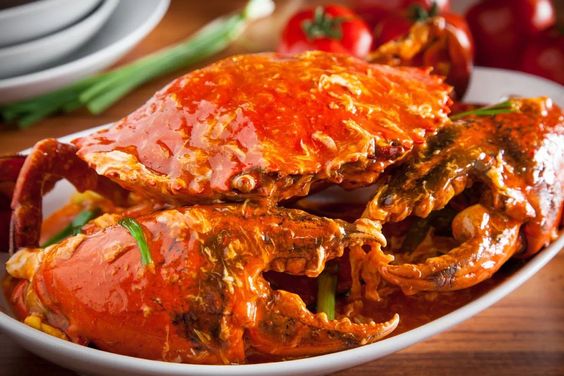 Asal Usul Bumbu Saus Padang dan Filosofinya