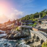 Kegiatan Tak Boleh Terlewat saat Berwisata ke Busan