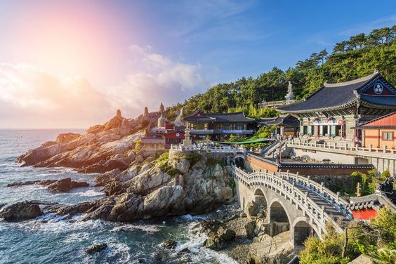 Kegiatan Tak Boleh Terlewat saat Berwisata ke Busan