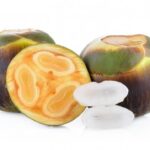 Manfaat Buah Lontar untuk Kesehatan Tubuh