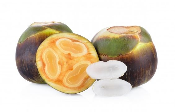 Manfaat Buah Lontar untuk Kesehatan Tubuh