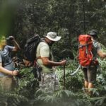 Mengenal "Perjalanan Hijau", Tren Liburan Menjaga Lingkungan