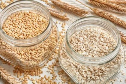 Perbedaan Oat dan Gandum, Mirip tapi Tak Sama!