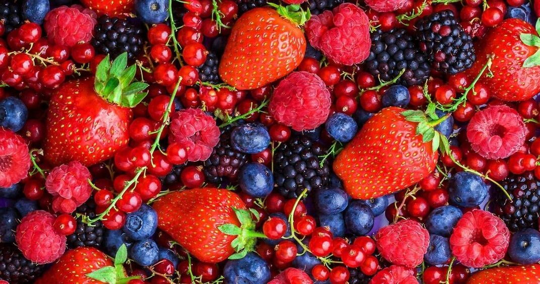 Berbagai Jenis Buah Berry dan Manfaatnya untuk Kesehatan
