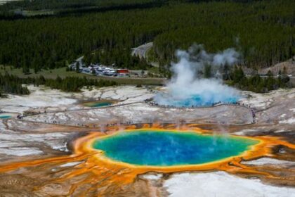 Ada Penyakit Zombie di TN Yellowstone AS