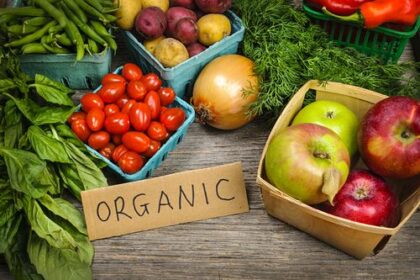 Fakta Menarik Makanan Organik yang Jarang Diketahui