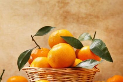 Makanan yang Dikonsumsi Setelah Donor Darah