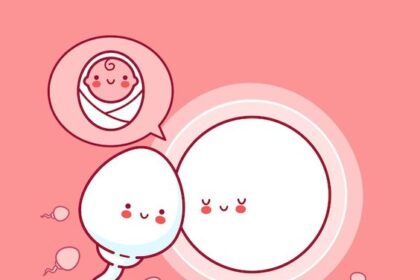 Mengenal Fertilisasi dan Proses Terjadinya Kehamilan