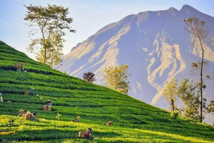 Rekomendasi Kota Paling Nyaman untuk Pensiun di Indonesia