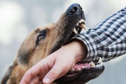 Wasapada Gejala Rabies pada Manusia