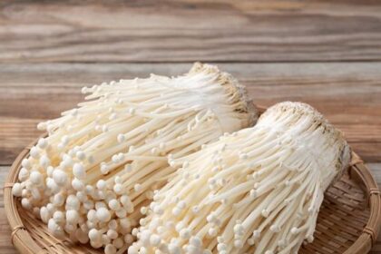 Hati-Hati Mengonsumsi Jamur Enoki, Ini Cara Mengolahnya