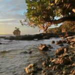 Faktor Taman Nasional Ujung Kulon Menjadi Geopark