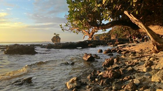 Faktor Taman Nasional Ujung Kulon Menjadi Geopark