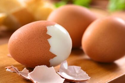 Manfaat Putih Telur untuk Kesehatan