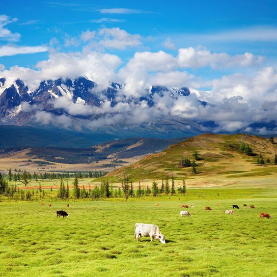 Alasan Mongolia Cocok jadi Destinasi Wisata Para Introvert
