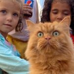 Simsim "Si Oren", Sosok Gemas Penghibur Anak-anak di Gaza
