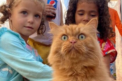 Simsim "Si Oren", Sosok Gemas Penghibur Anak-anak di Gaza