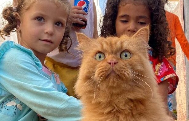 Simsim "Si Oren", Sosok Gemas Penghibur Anak-anak di Gaza