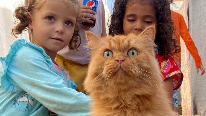 Simsim 