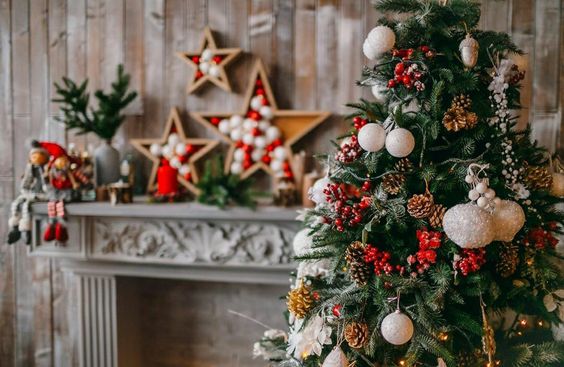 Fakta Unik Pohon Natal yang Belum Kamu Tahu