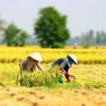 Ternyata Petani Merupakan Sebuah Akronim, Sudah Tahu?