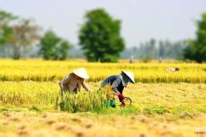 Ternyata Petani Merupakan Sebuah Akronim, Sudah Tahu?