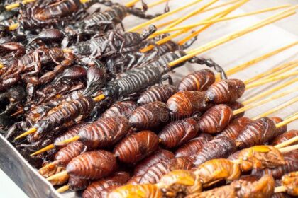 5 Kuliner Thailand yang Anti-Mainstream, Berani Coba?