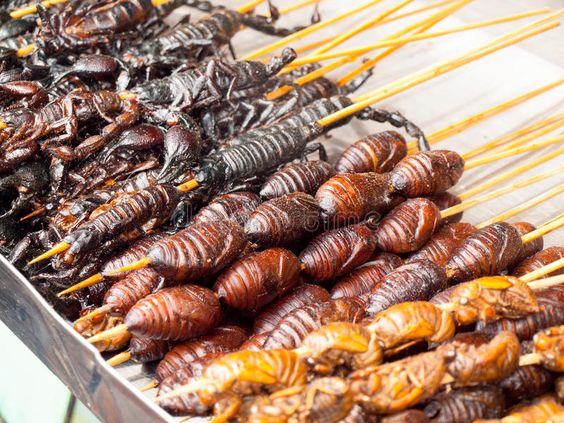 5 Kuliner Thailand yang Anti-Mainstream, Berani Coba?