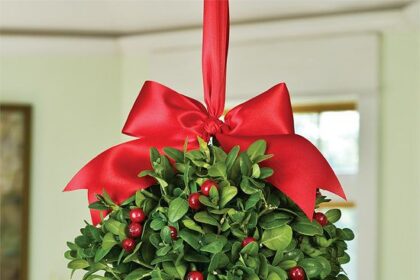 Fakta dan Sejarah Mistletoe, Hiasan Natal Populer