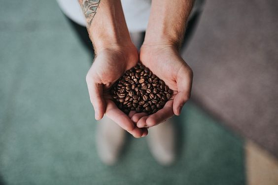 Istilah Kopi yang Populer di Kalangan Pencinta Kopi