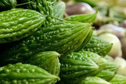Cara Praktis Menghilangkan Pahit Pada Sayur Pare