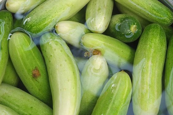 Manfaat Mengonsumsi Timun Rebus untuk Kesehatan