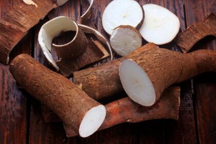 Bahan Makanan Berpotensi Membawa Racun untuk Tubuh