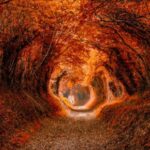 Dampak Autumn Equinox pada Masing-Masing Zodiak