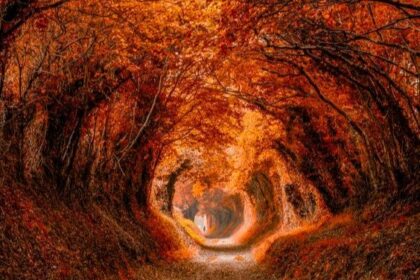Dampak Autumn Equinox pada Masing-Masing Zodiak