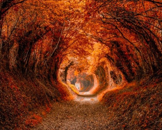 Dampak Autumn Equinox pada Masing-Masing Zodiak