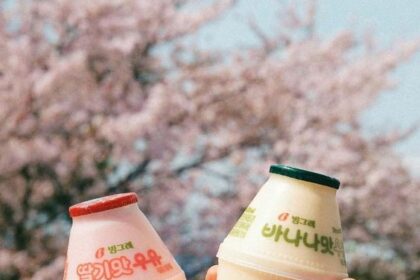 Rekomendasi Minuman Hits di Korea, Wajib Coba!