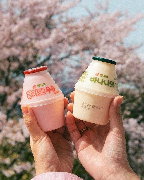 Rekomendasi Minuman Hits di Korea, Wajib Coba!