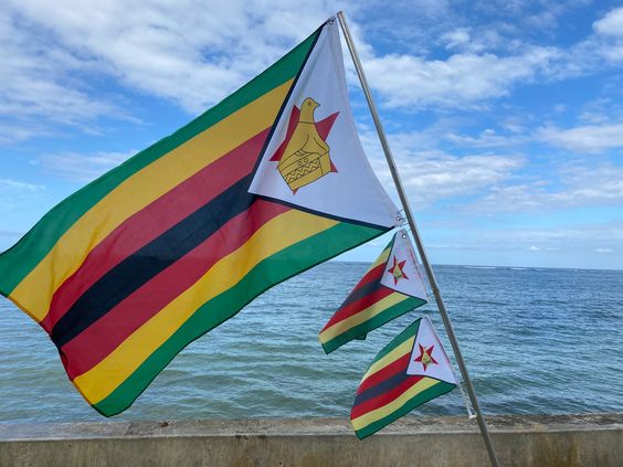 Lika-liku Perekonomian Zimbabwe yang Bikin Geleng Kepala!