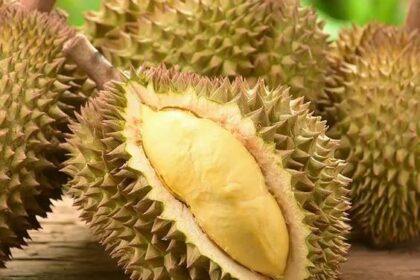 10 Makanan yang Tidak Boleh Mengonsumsinya dengan Durian