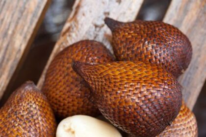 Benarkah Buah Salak Bikin Susah BAB? Ini Faktanya!