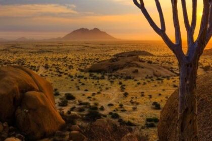 10 Destinasi Wisata Populer Tahun 2024 Menurut Para Ahli